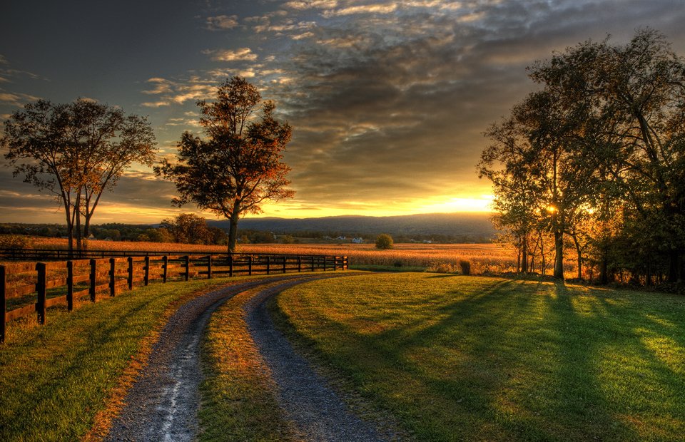 Aldie, Photography, Videography, Web Design