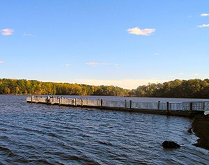 Burke VA, Web Design, Graphic Design, Photography, Videography, Marketing