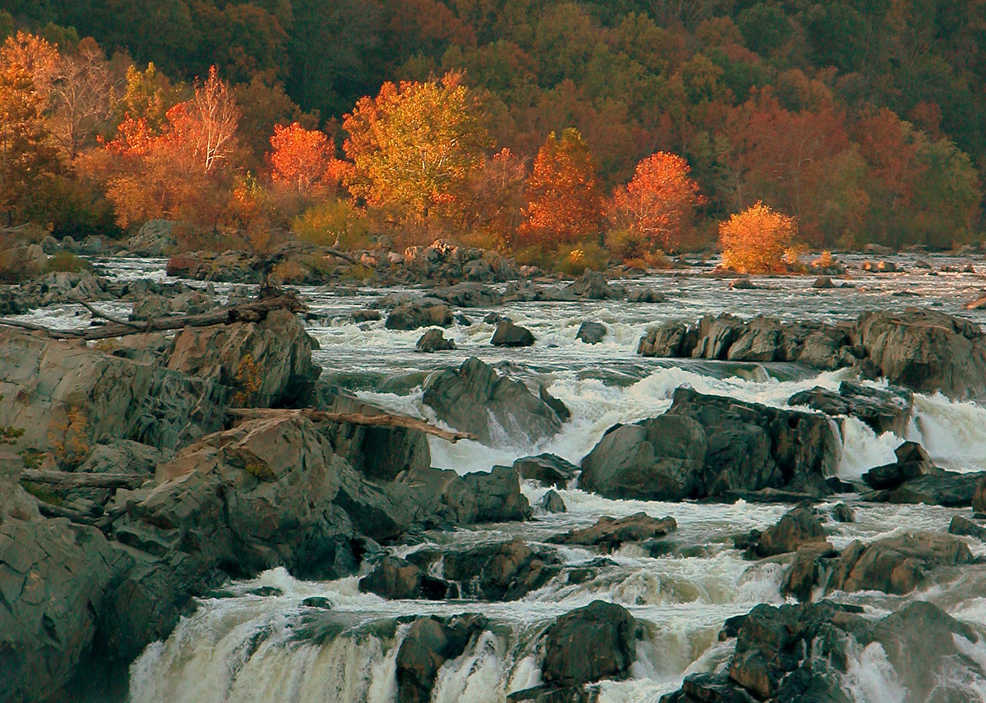 Great Falls VA, Web Design, Graphic Design, Marketing, Photography, Videography