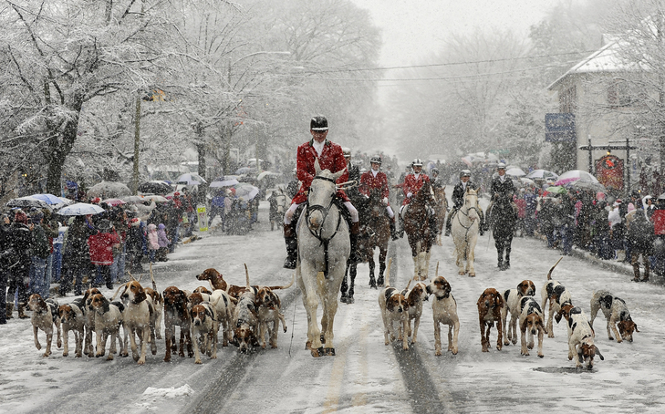 Middleburg VA, Photography, Videography, Web Design, Graphic Design, Marketing