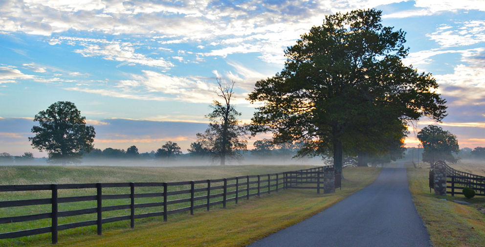 Nokesville VA, Photography, Videography, Web Design, Graphic Design, Marketing